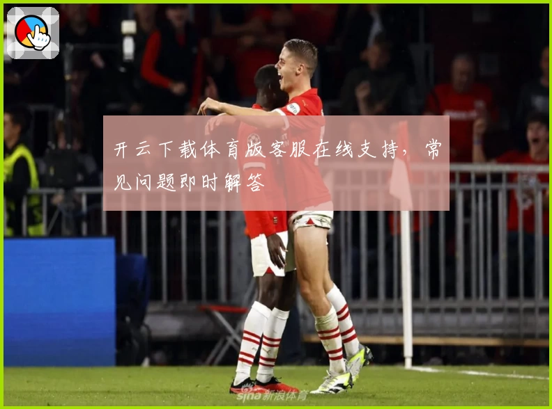 开云下载体育版客服在线支持，常见问题即时解答