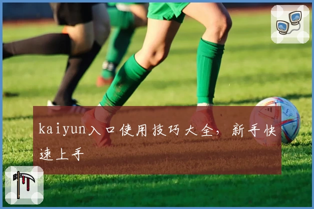 kaiyun入口使用技巧大全，新手快速上手