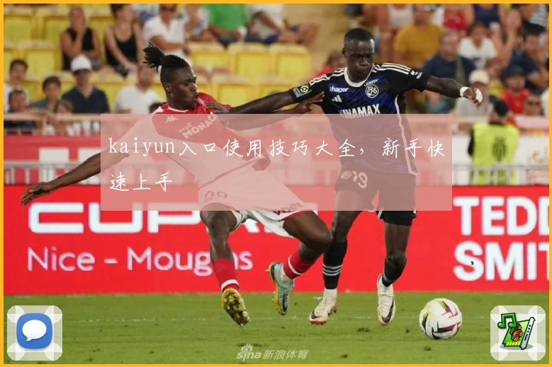 kaiyun入口使用技巧大全，新手快速上手