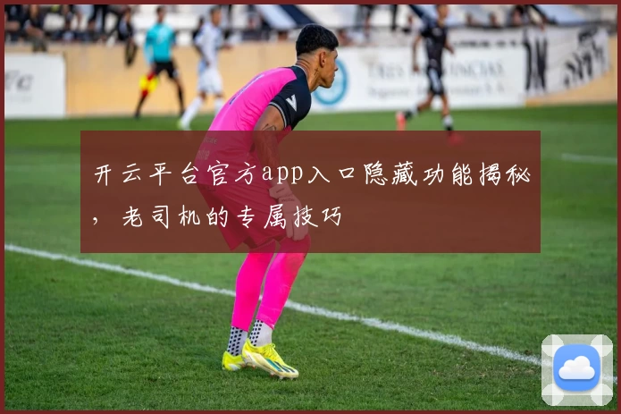 开云平台官方app入口隐藏功能揭秘，老司机的专属技巧
